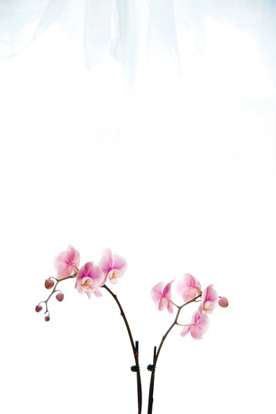 details030