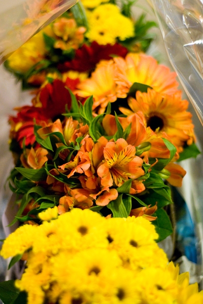 details067