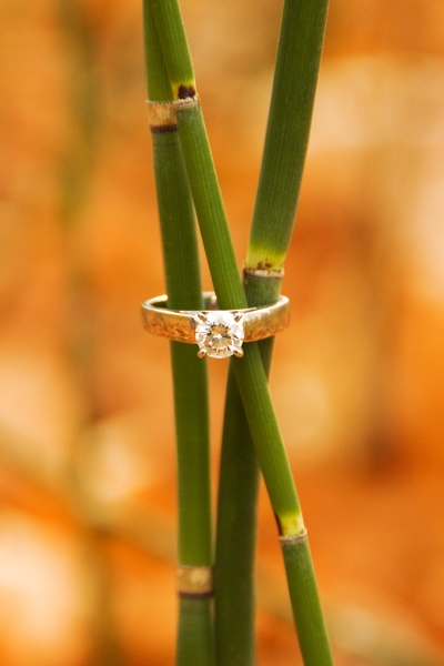engagement033