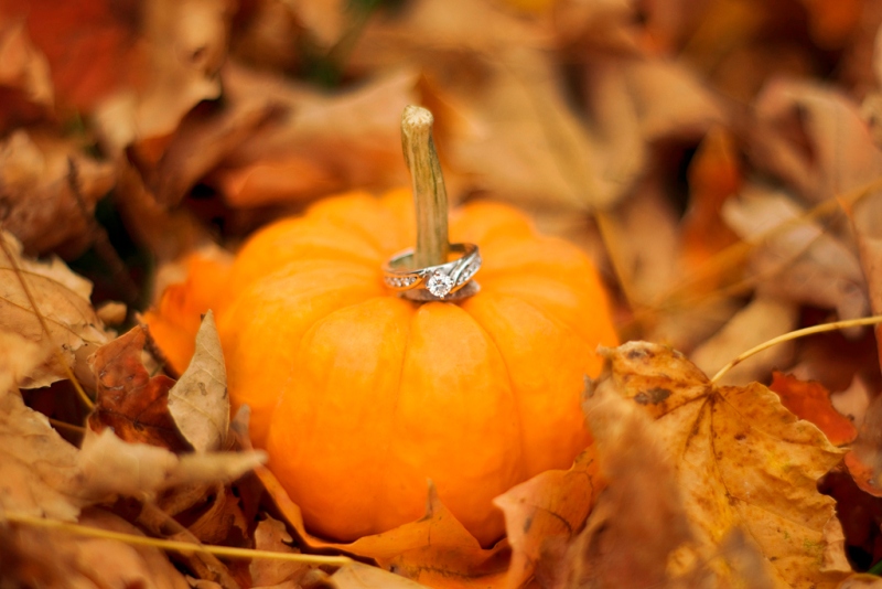 engagement044