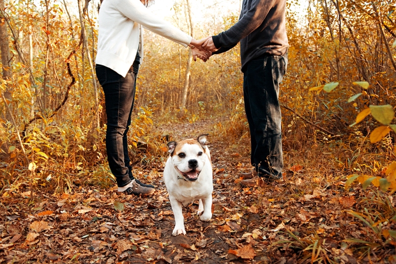 fall-photos-18