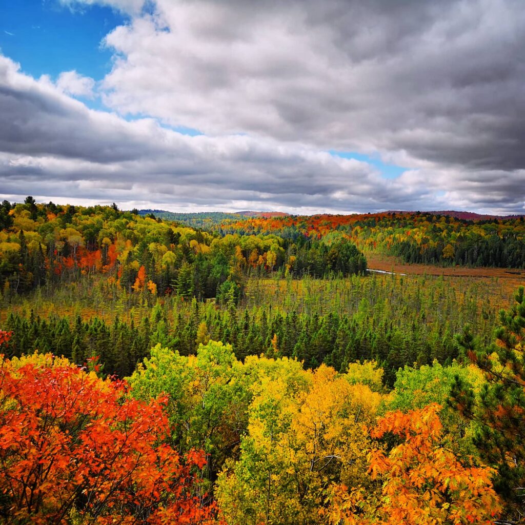 Fall Landscapes in Algonquin Park